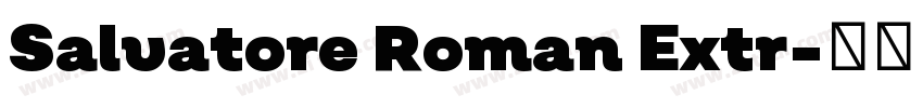 Salvatore Roman Extr字体转换
